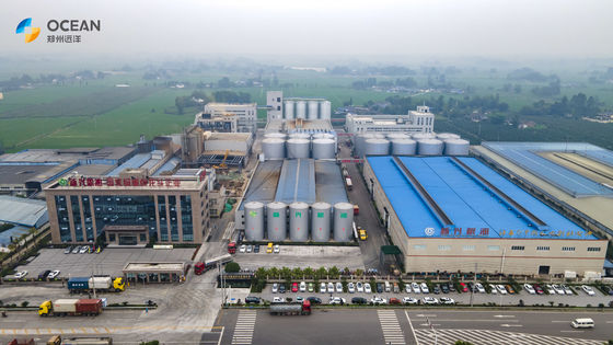 Dây chuyền sản xuất chế biến hạt có dầu loại nhỏ 10-1000TPD Tự động hóa cao
