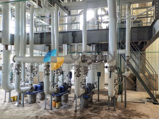 Máy tinh chế dầu đậu nành cọ ăn được với khử mùi