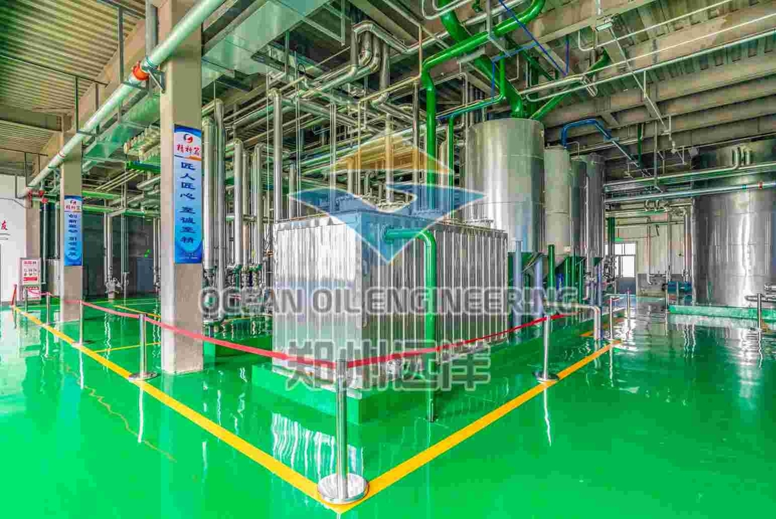 Máy lọc dầu cọ thép không gỉ với cài đặt công trình dân dụng hoàn chỉnh